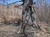 nte Fontane-01042012 157